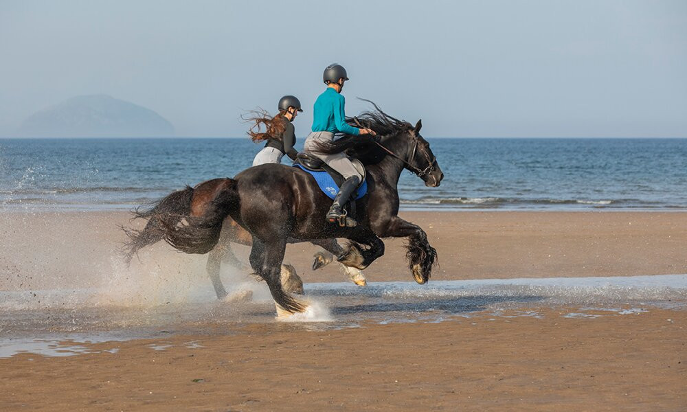 Turnberry Adventures景点图片