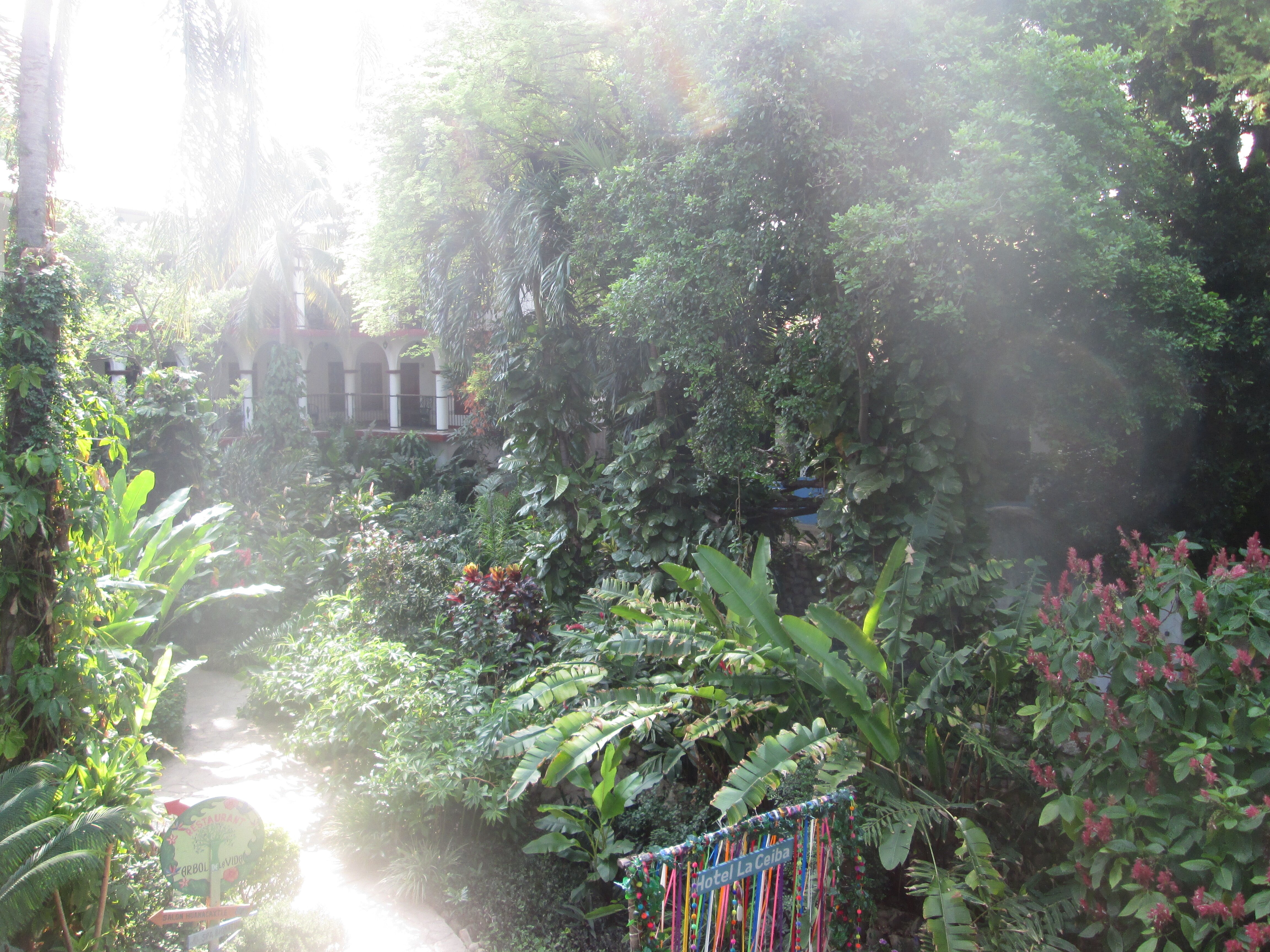 Hotel La Ceiba-浴室