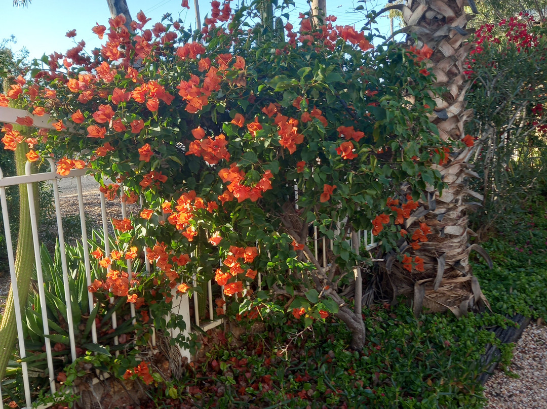 Sonja's Bed & Breakfast主图