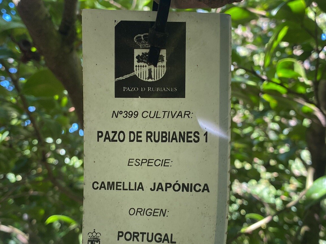 Pazo de Rubianes景点图片