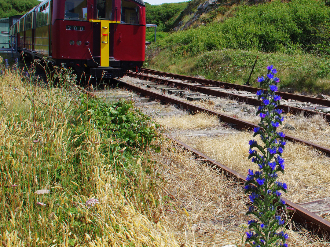 Alderney Railway-Alderney必去景点