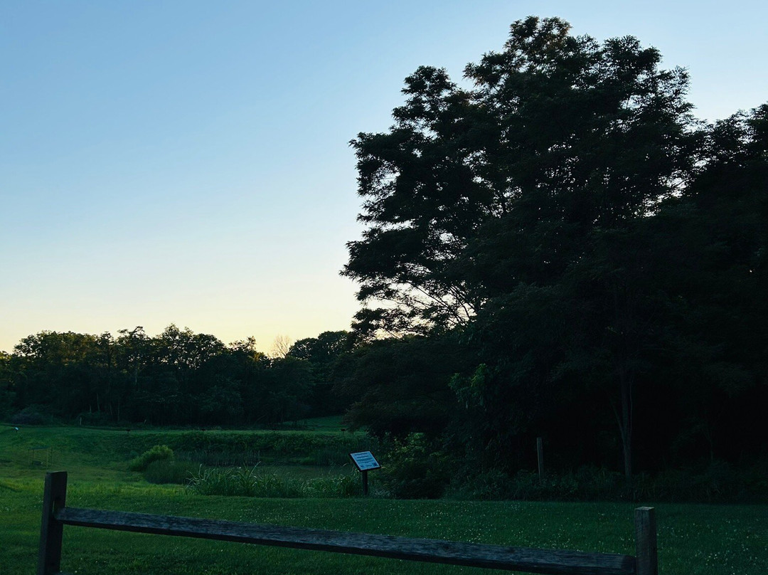 Cummins Nature Preserve