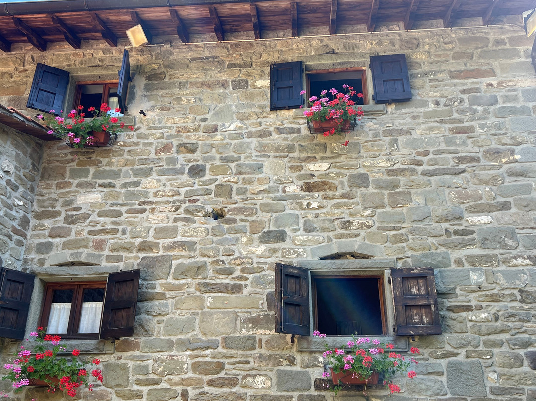Agriturismo Eremo Montemezzano主图