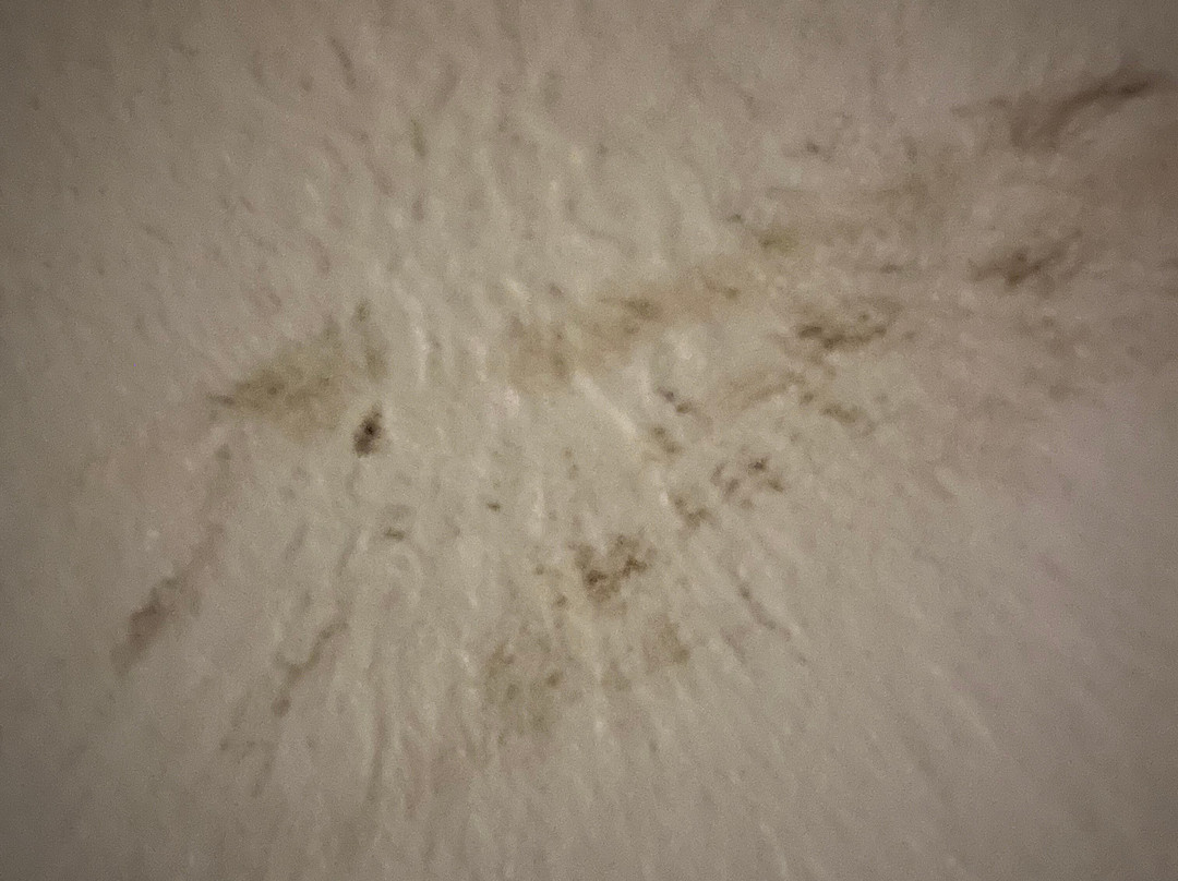 Staybridge Suites Elkhart North by IHG主图