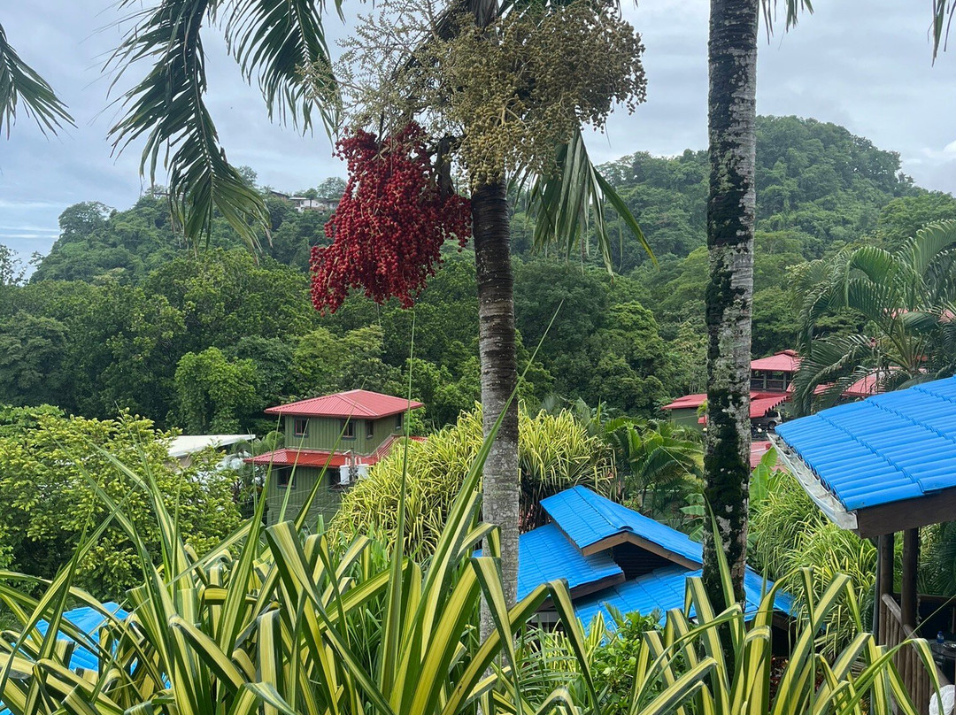 Horizon Hotel & Yoga Center主图