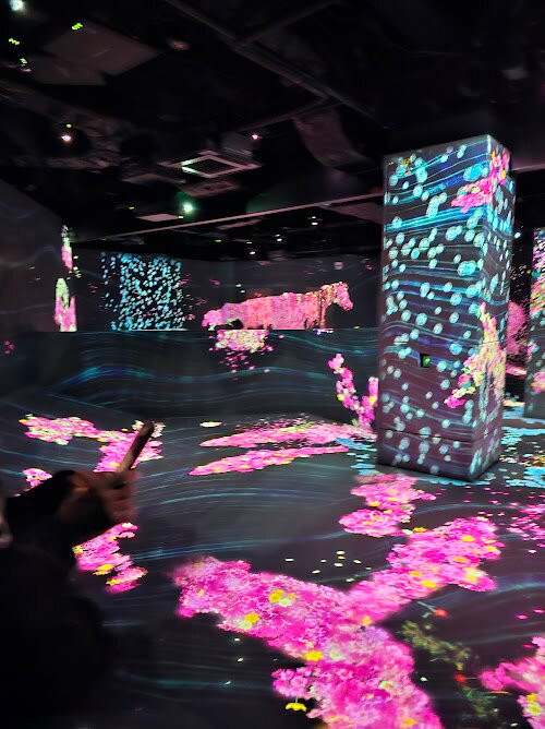teamLab Forest景点图片