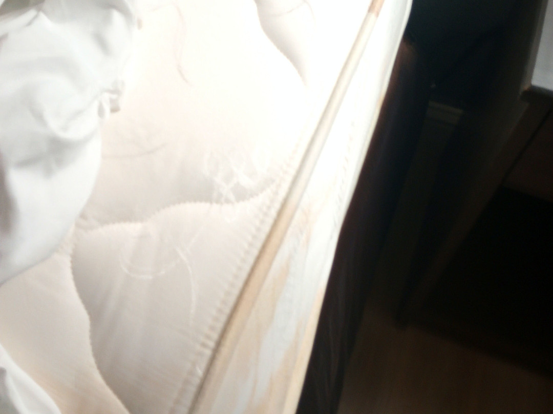 Quality Inn & Suites Redwood Coast主图