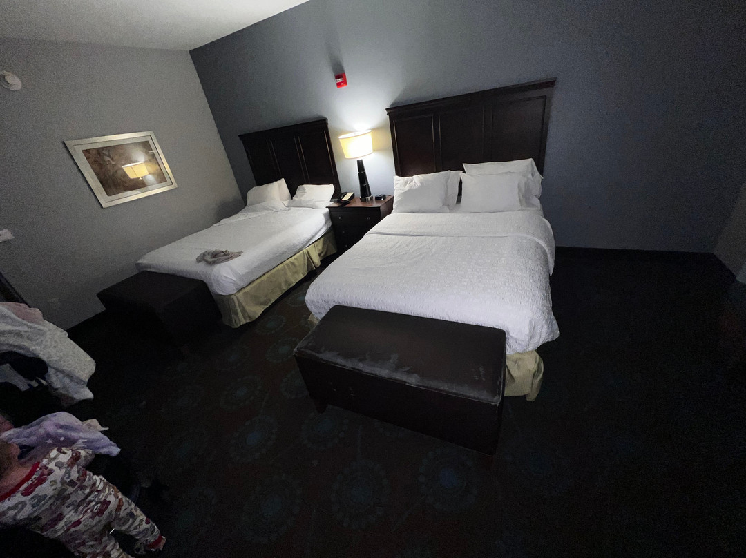 Hampton Inn & Suites Shreveport/Bossier City at Airline Drive主图