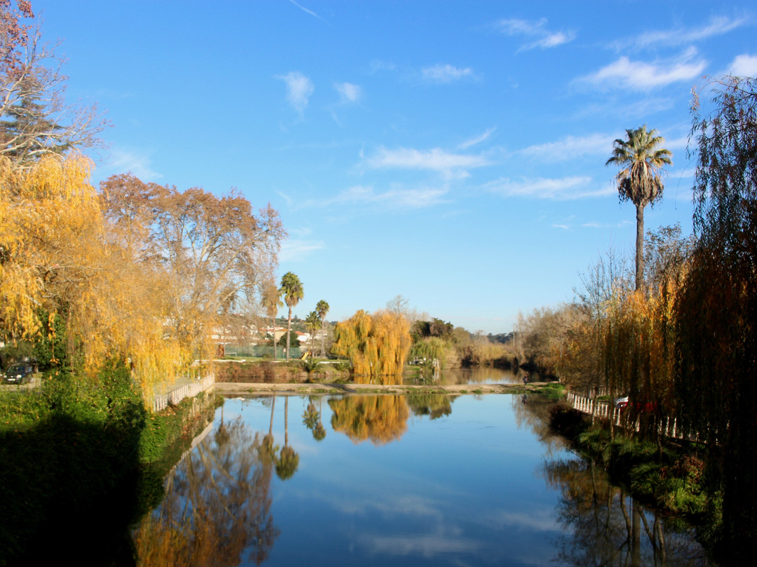 Mouchao Parque景点图片