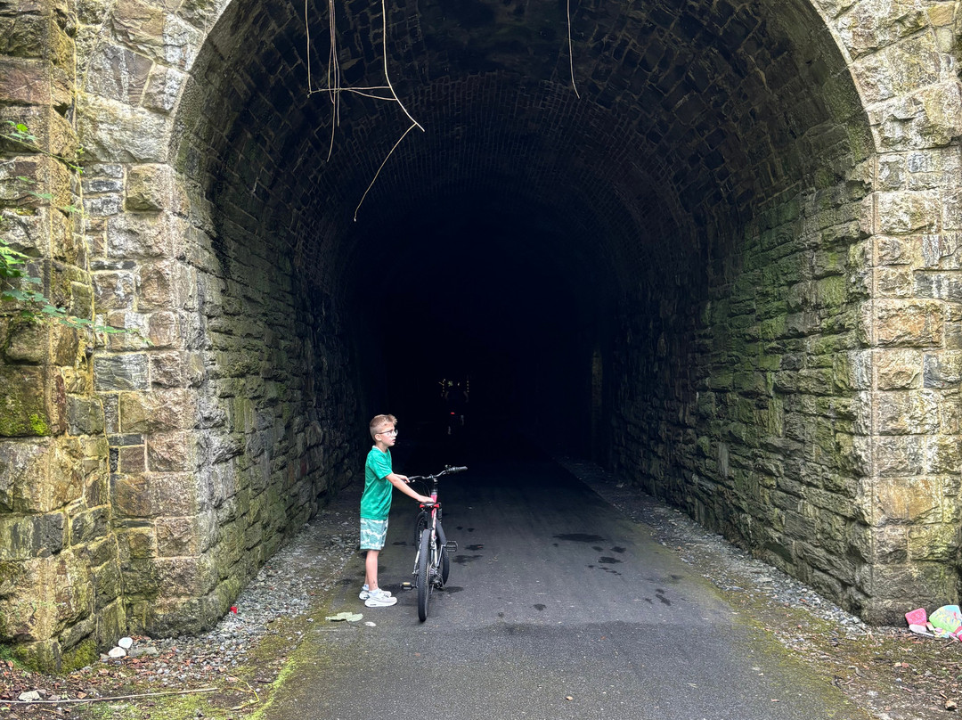 Waterford Greenway Bike Hire And Visitor Centre景点图片