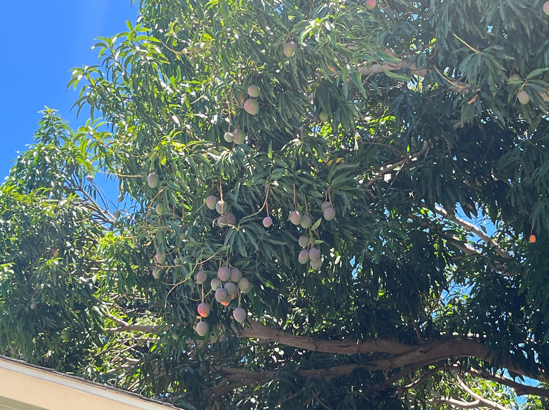 Sprecks Plantation House主图