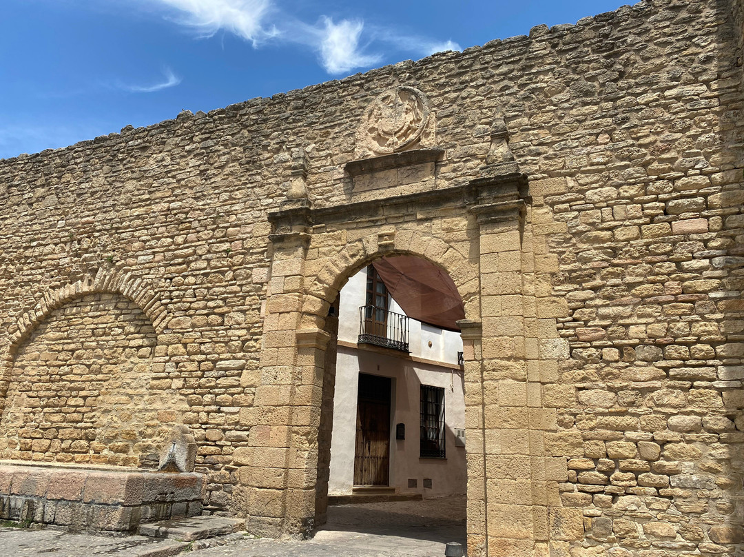 Puerta de Almocabar景点图片