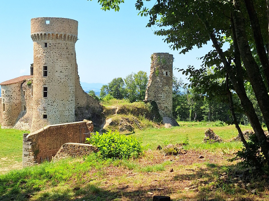 Château de la Faye景点图片