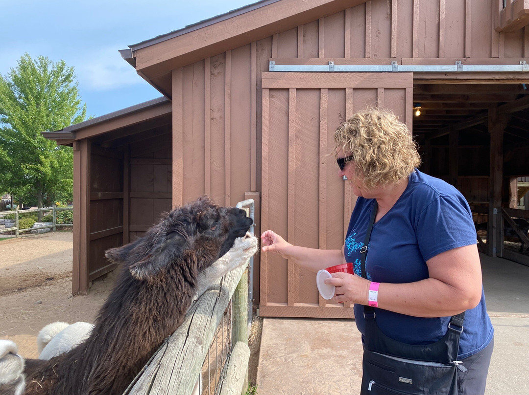 Lewis Adventure Farm & Zoo景点图片