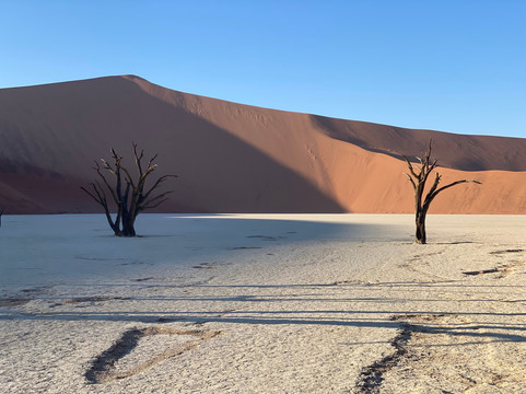 Mannor Safaris Namibia-温德和克必去景点
