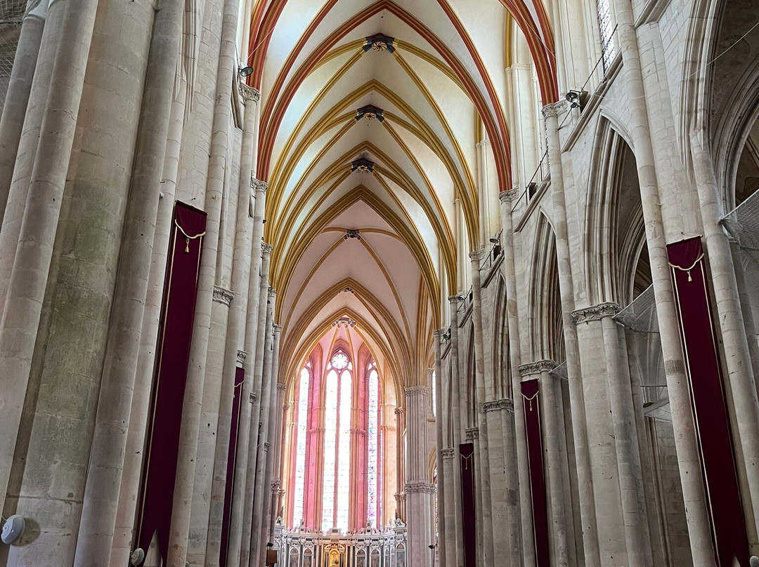 Cathedrale et cloitre Saint Etienne景点图片