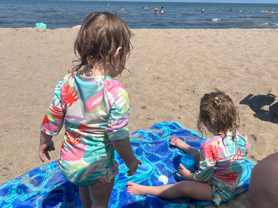 Nickel Plate Beach-Huron必去景点