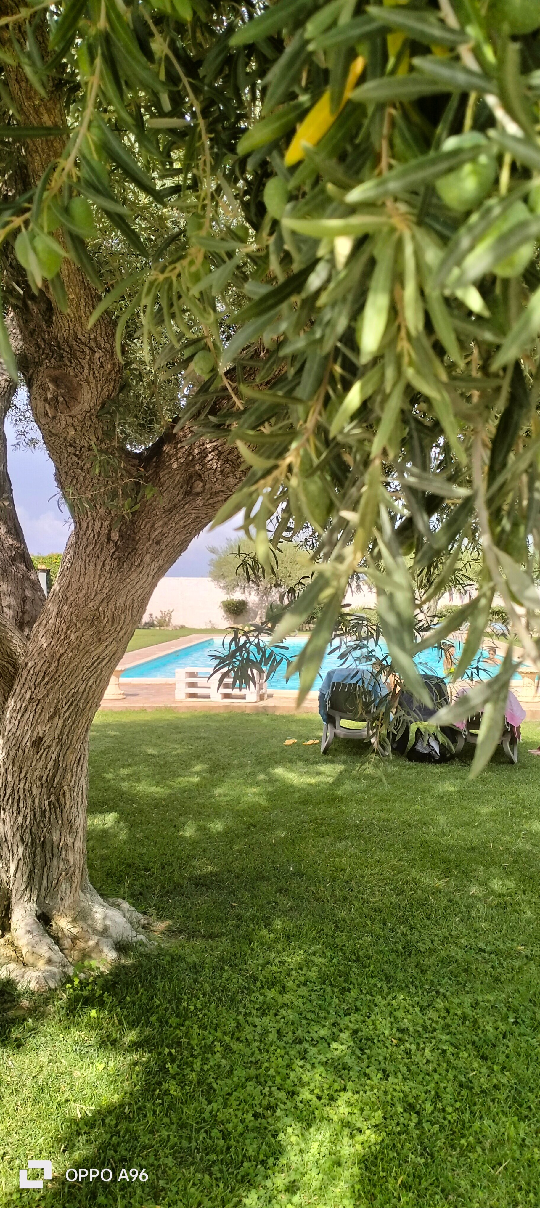 Tenuta Arangio Agriturismo Vendicari-泳池