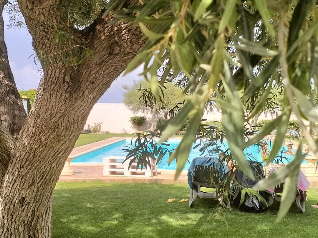 Tenuta Arangio Agriturismo Vendicari主图