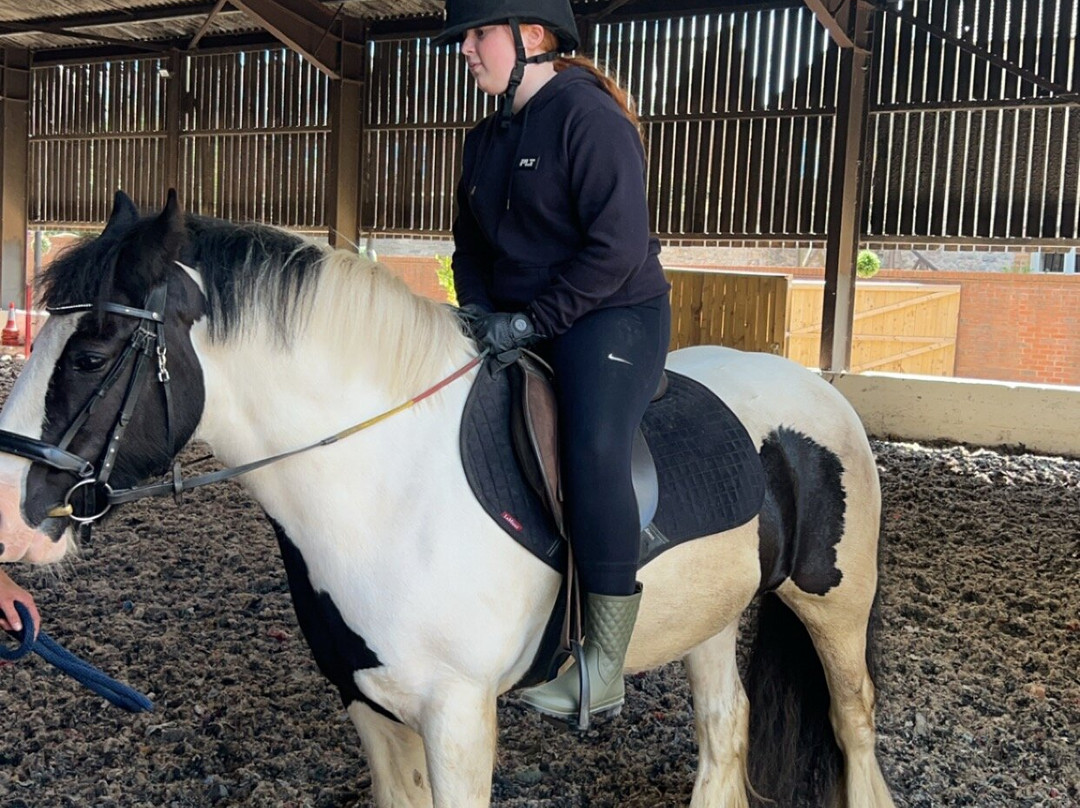Growth Equestrian