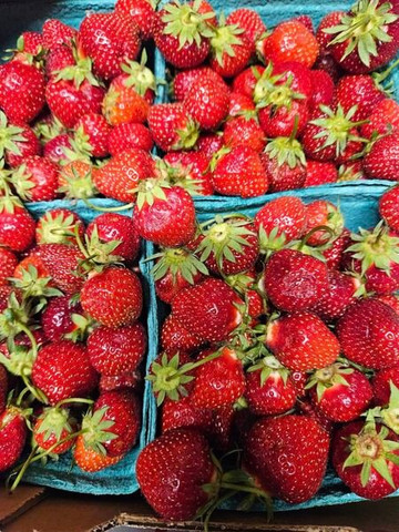 Gatewood Vegetable Farm & Greenhouses, Inc.-Noblesville必去景点