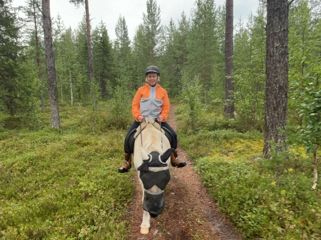 Horses of Taiga-Svansele必去景点