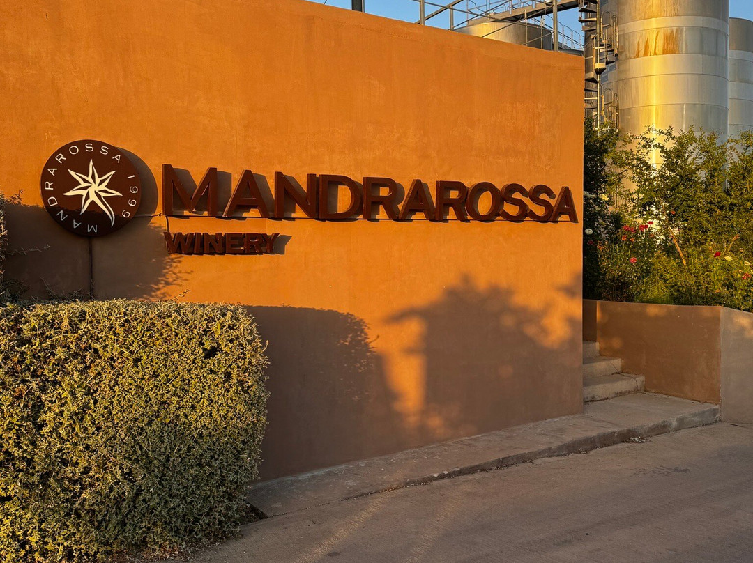 Mandrarossa Winery-Menfi必去景点