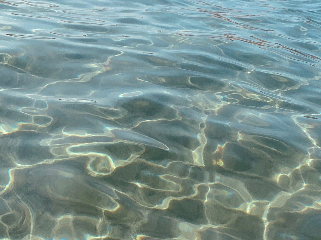 Playa de los Genoveses景点图片