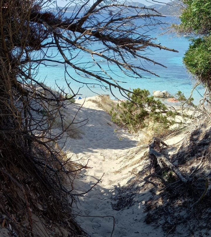 Plage d'Acciaju-维琪奥港必去景点