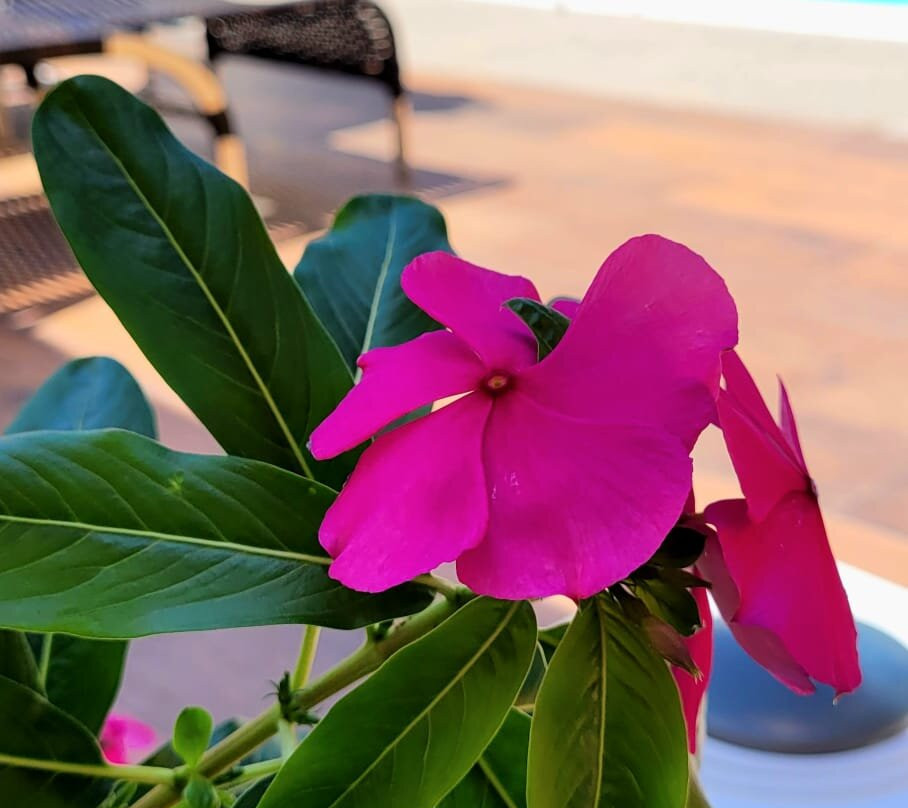 Pousada Mirante de Areia主图