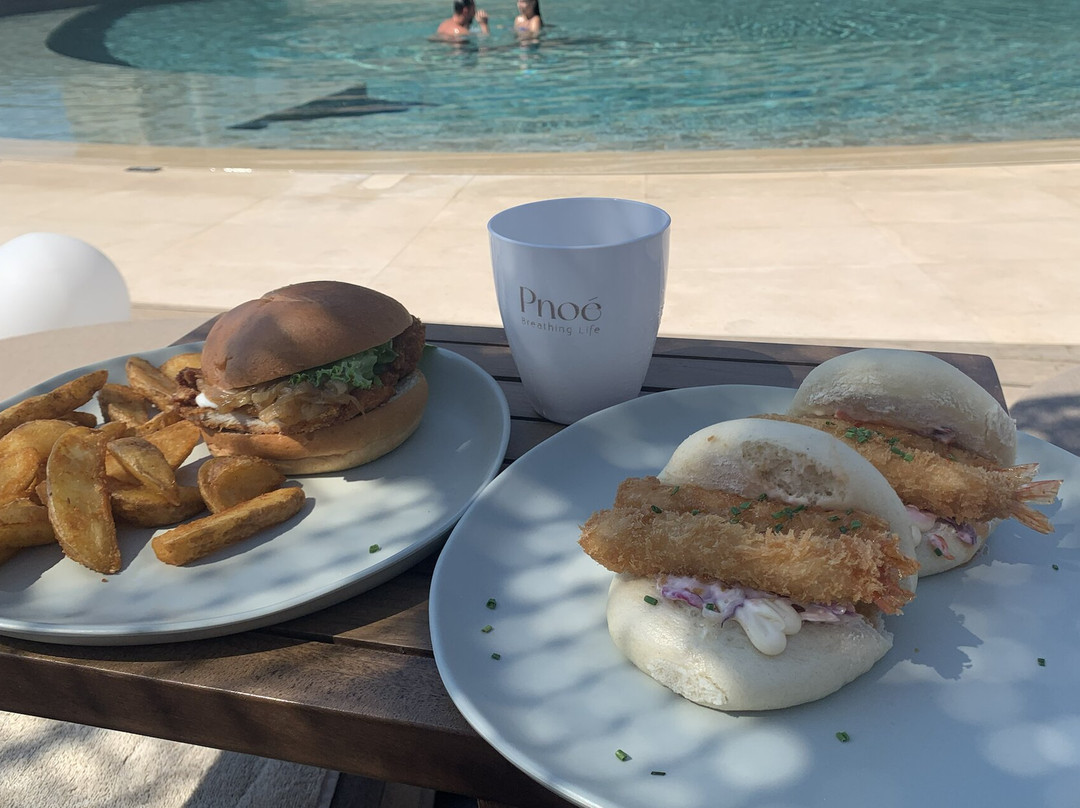 Pnoé Breathing Life主图