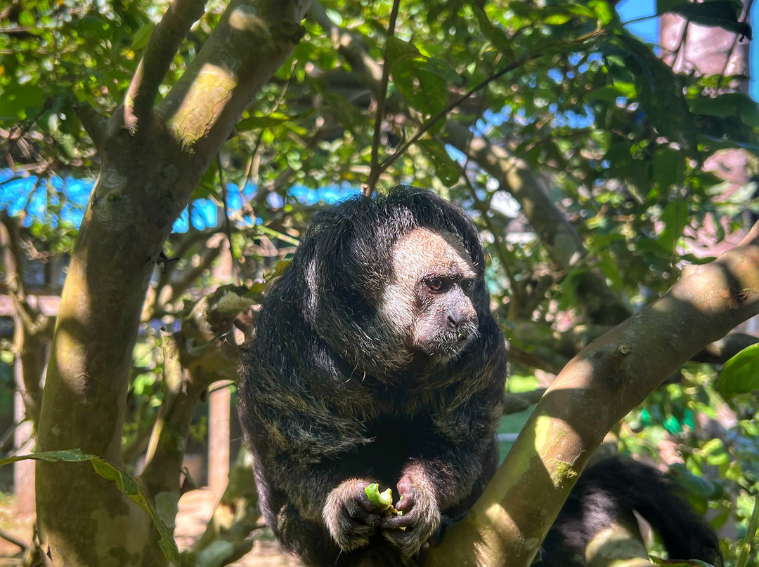 Kelwin's Amazon Adventures-伊基托斯必去景点