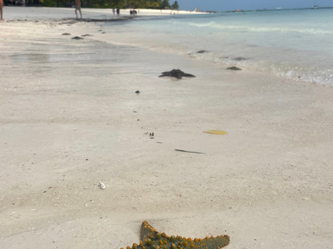 Zan Pleasure Car Rental & Tours-桑给巴尔市必去景点