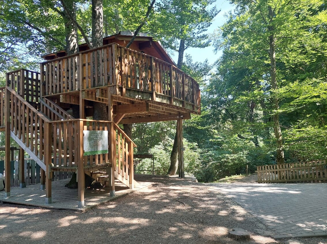 Parco Avventura Cerwood景点图片