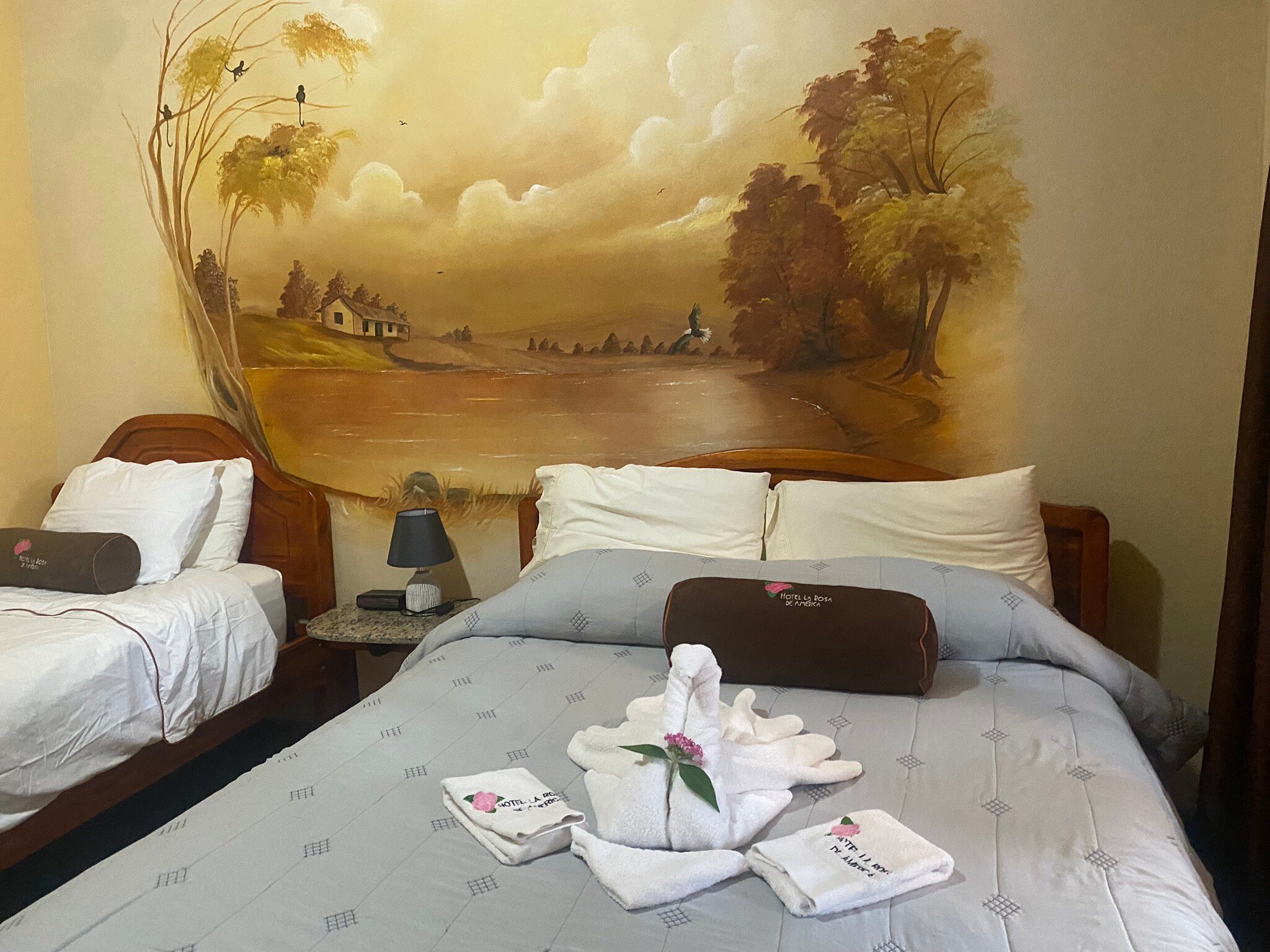 Hotel La Rosa de America-官方
