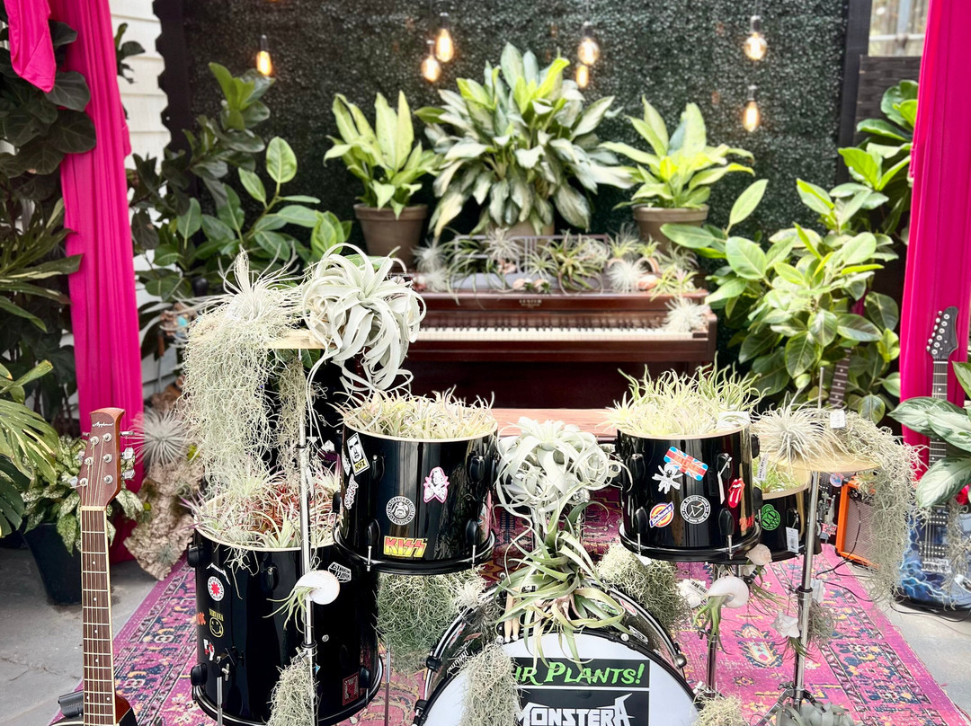 Dothan Nurseries Greenhouse, Gardens, and Gifts-多森必去景点