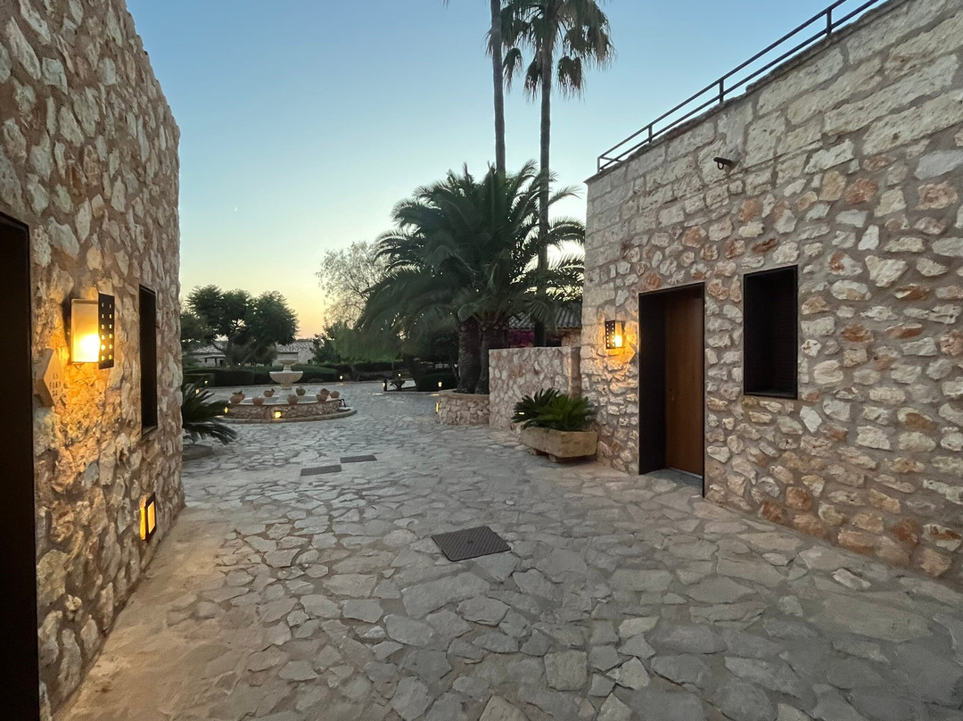 Son Trobat Wellness & Spa主图