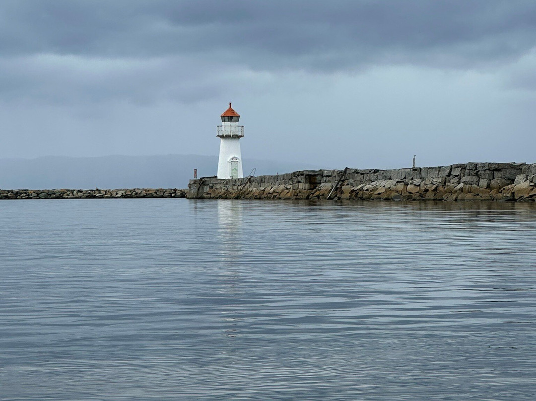 Trondheim Kajakk景点图片