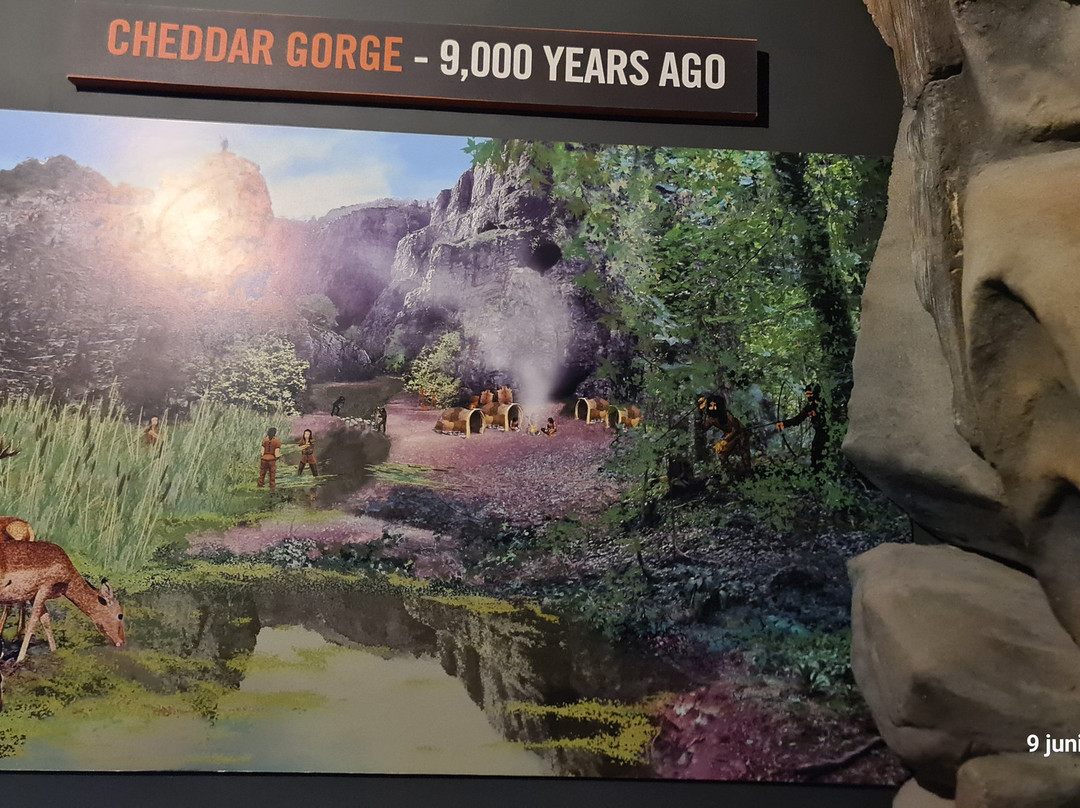 Cheddar Museum Of Prehistory景点图片