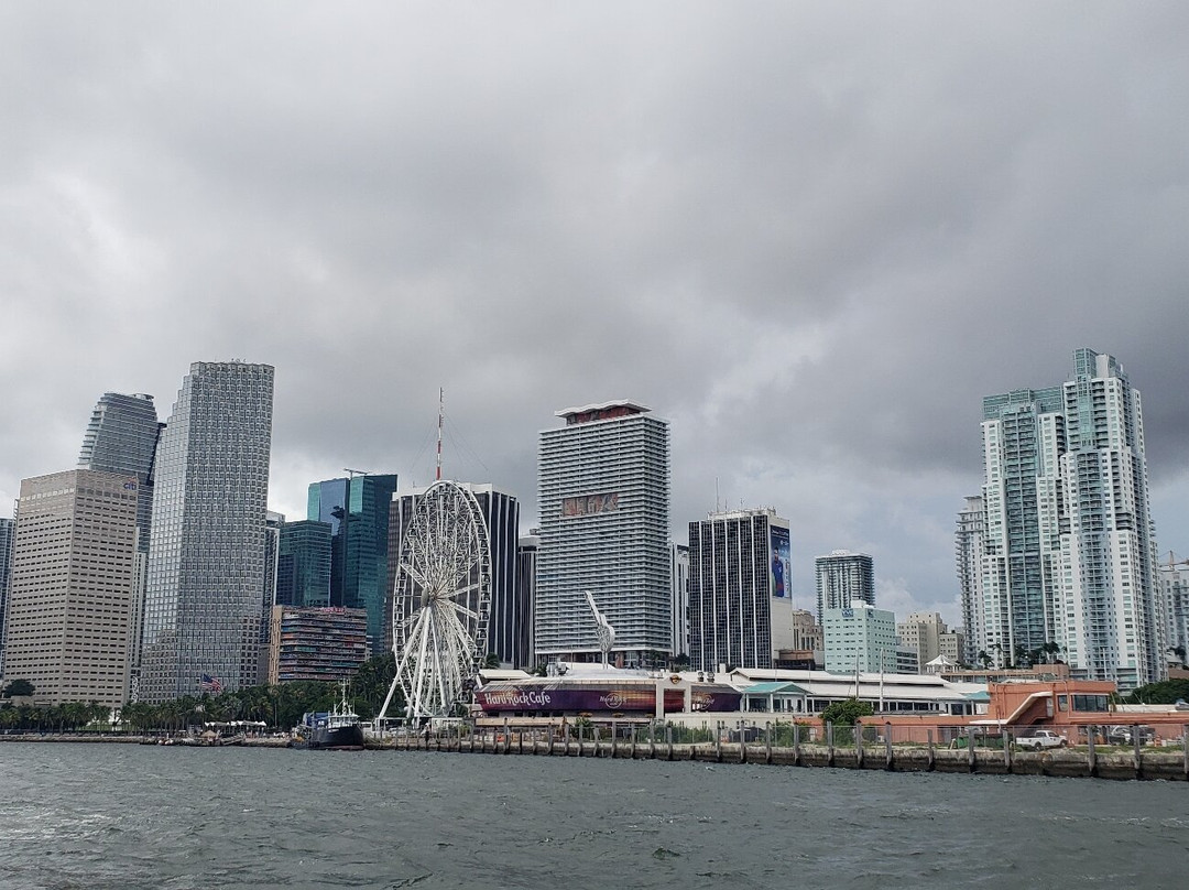 Tropical Sailing-劳德代尔堡必去景点