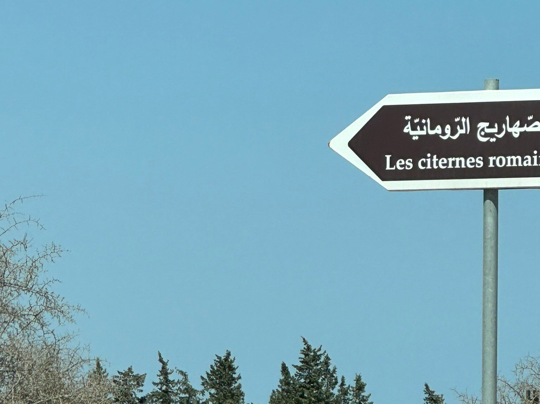 Carthage  Aqueduct-迦太基必去景点