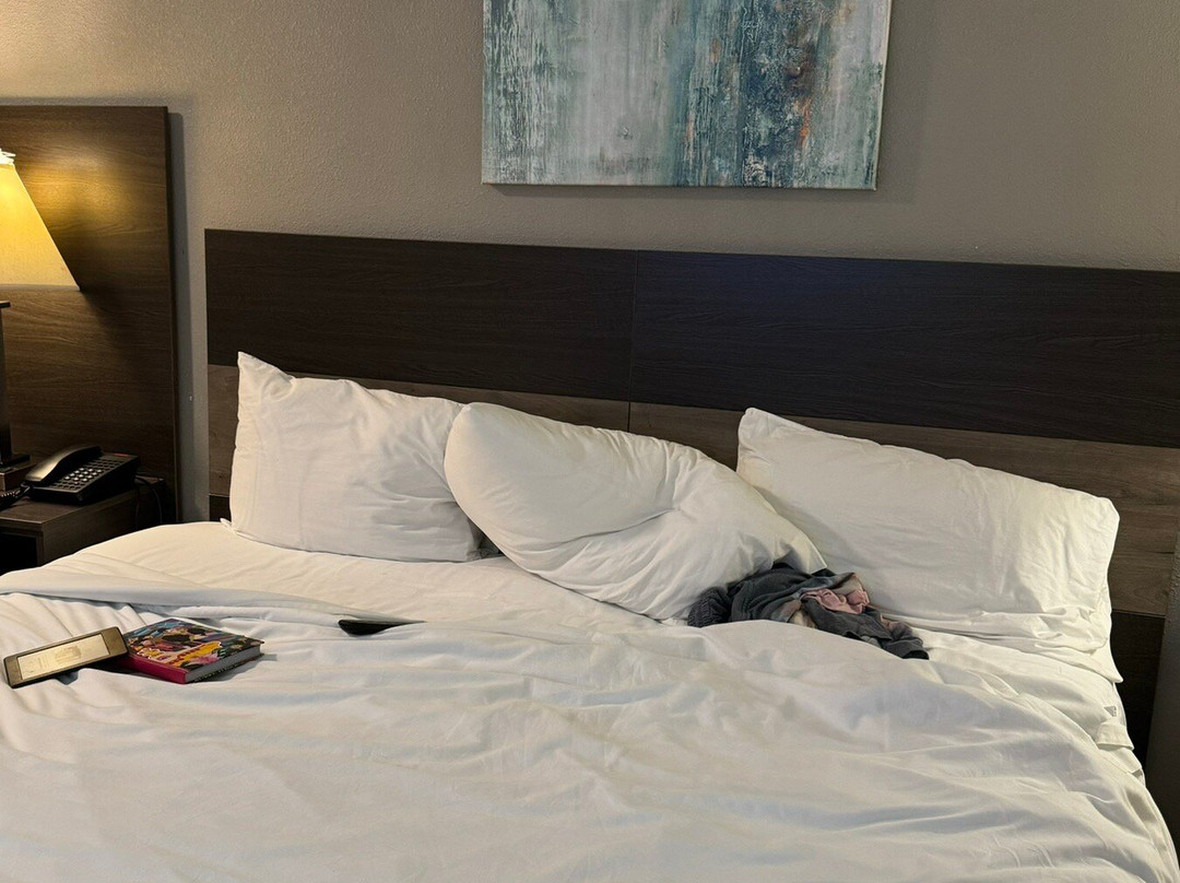 贝斯特韦斯特伍德布瑞酒店主图