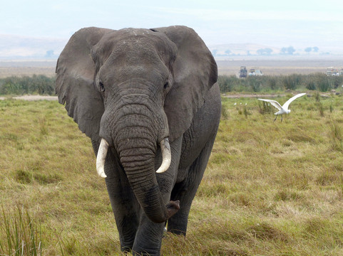 Adventure Travelling-阿鲁沙必去景点