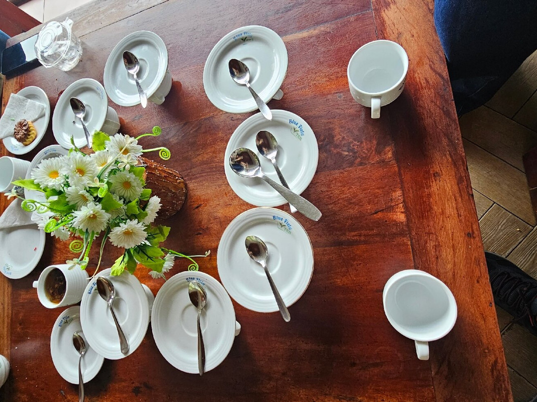 Blue Field Tea Factory-拉马伯达必去景点