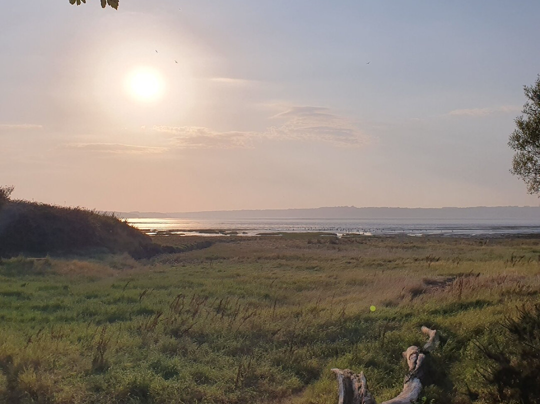 Morfa Aber Nature Reserve景点图片