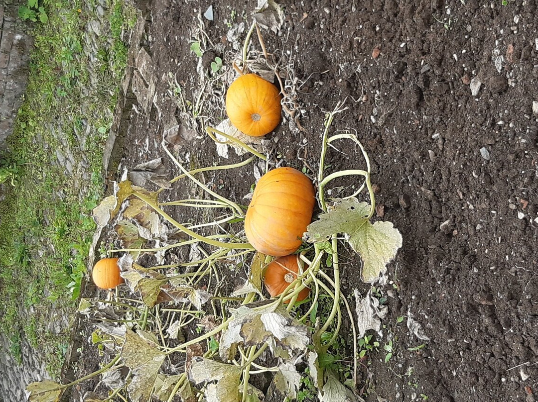 Penrose-赫尔斯顿必去景点