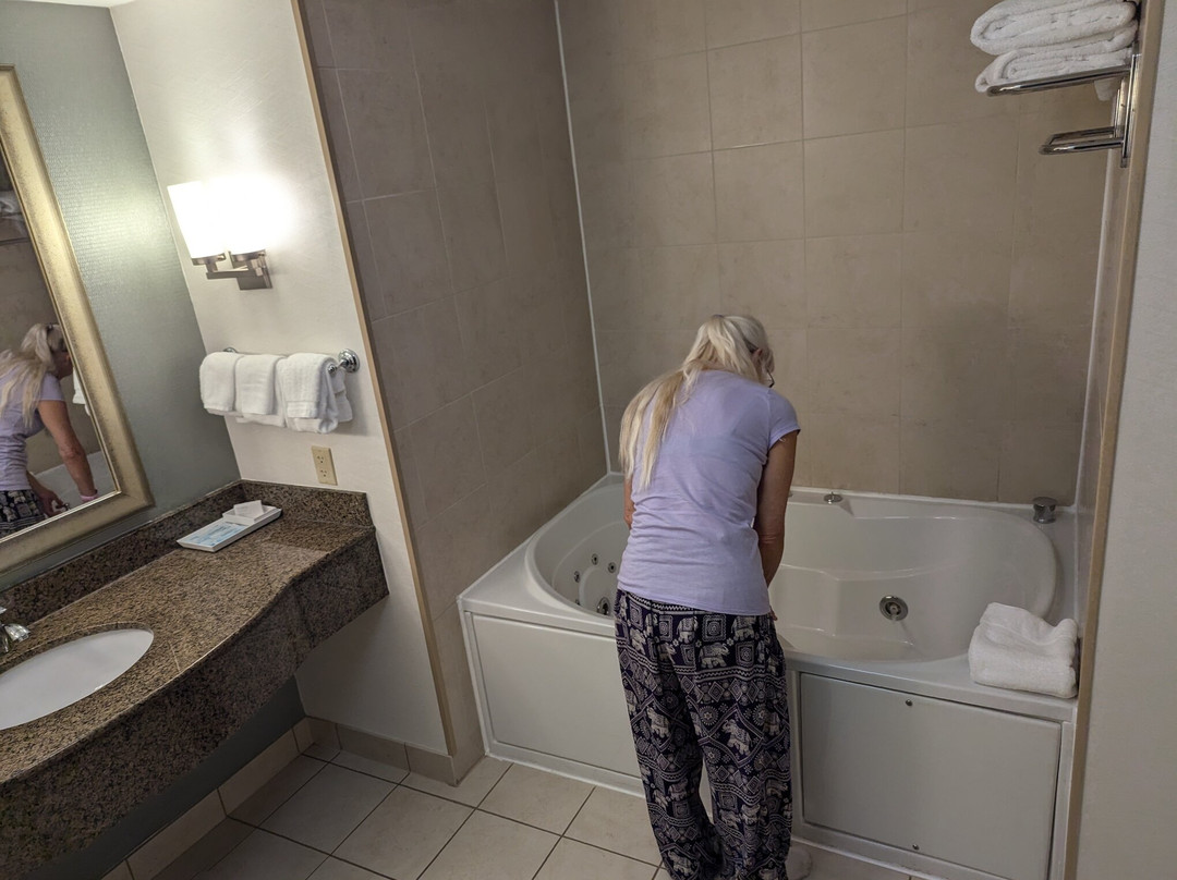 Hilton Garden Inn Albany/suny Area主图