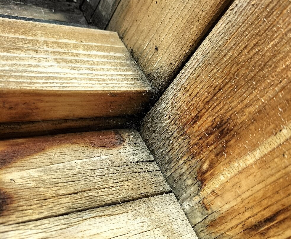 Casa Alpina Sant' Apollinare主图