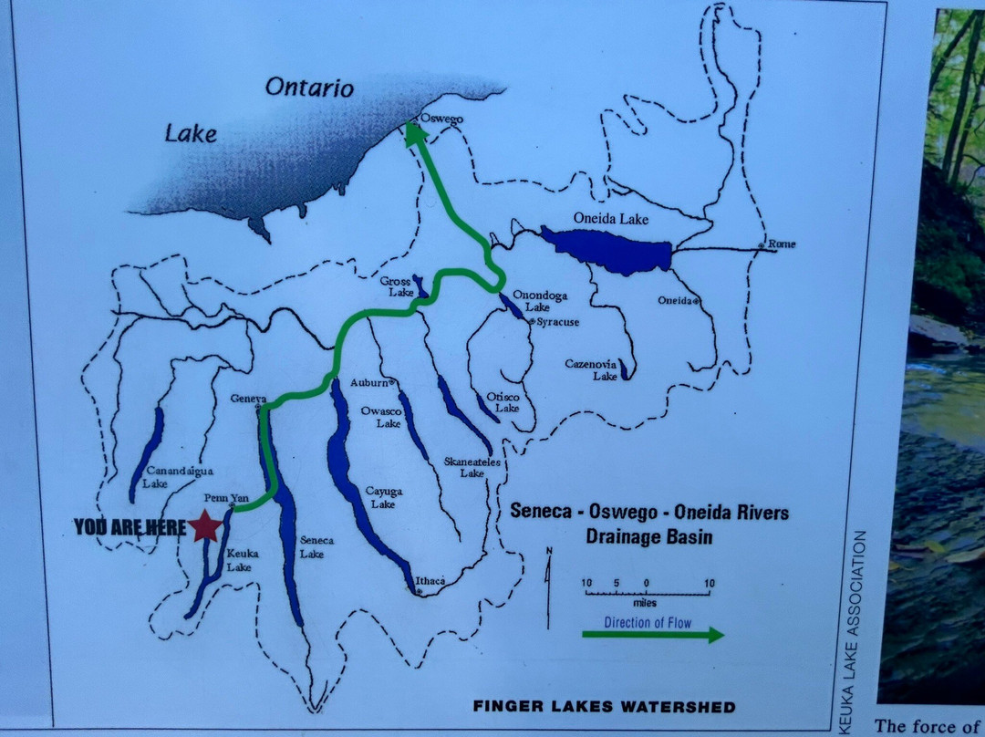 Best Western Plus Vineyard Inn & Suites主图
