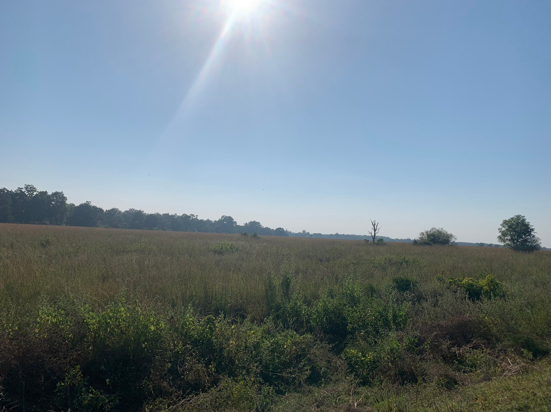 Jim Corbett National Park景点图片